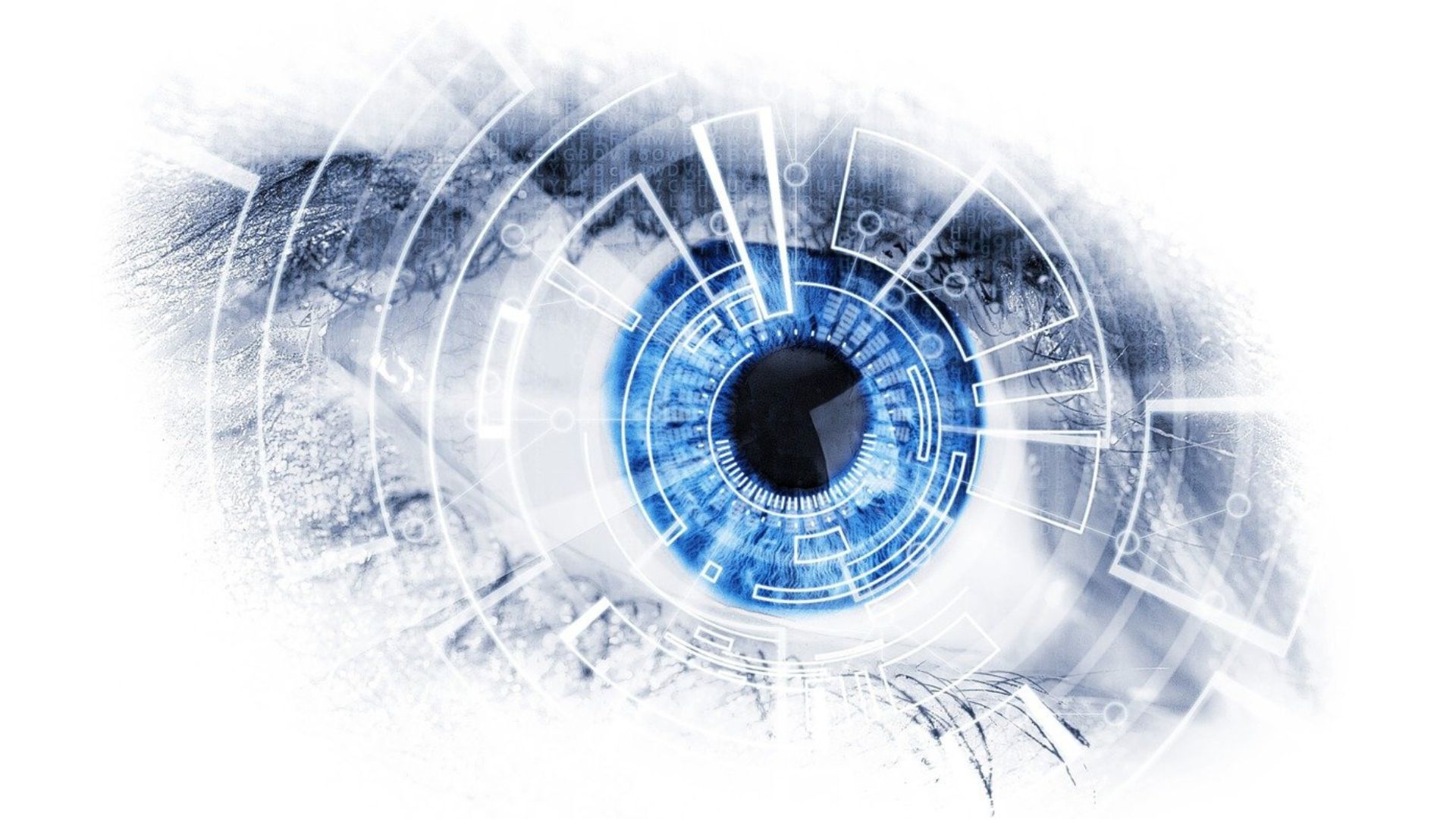 YOLO Object Detection